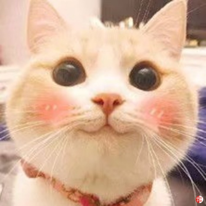 http://file.wogoo.com/app/article/20190415/e087624c9c704043a7c6c9b4dd901c07.png