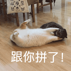 664b7f32ffbd4675ad895730eda95e42.gif