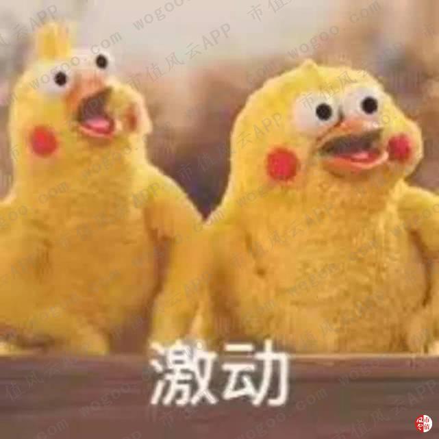 d9c4bc37b8e5415d9b97cc749b386fa3.jpg