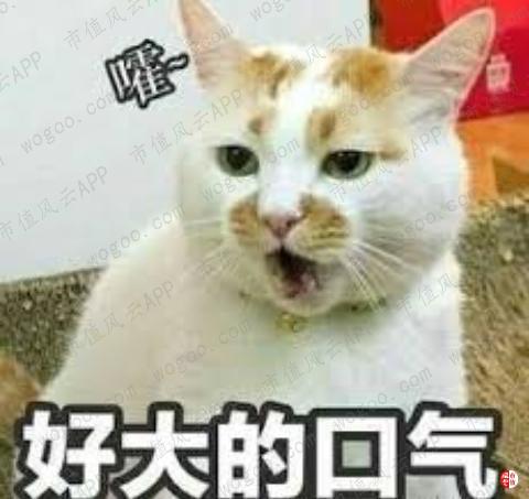 a84952a3fe544a3c8d380d8edebda402.006.jpeg