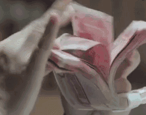d4d1c0288d6d4452b1ea9506cf34a4d1.gif