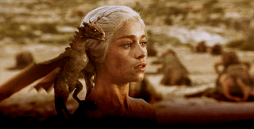 1ad602f719e548a8af37ded6182fa43b.gif