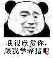3bc70ccee2db42e2ba3b674fa5b4b4c0.jpg