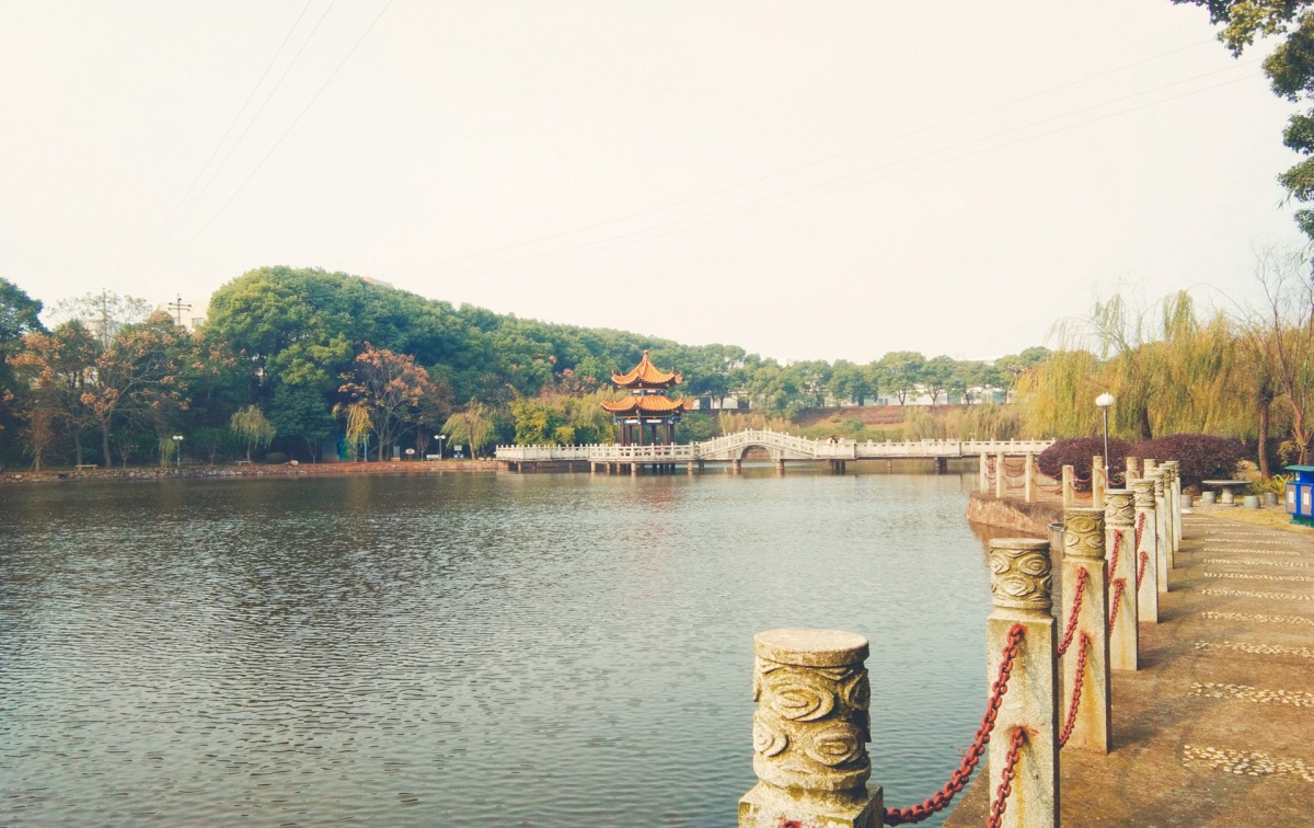 摄图网_500786851_banner_副本.jpg