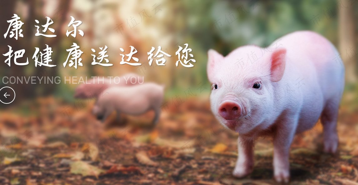 cb7e59c362d145eb8f2078a557a3072d.png