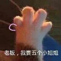 9c49a3a338f4495bb4c2a65cb65c6942.jpg