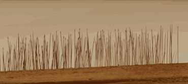 8f0068deb27b4e688d15a8dcab413b8a.gif