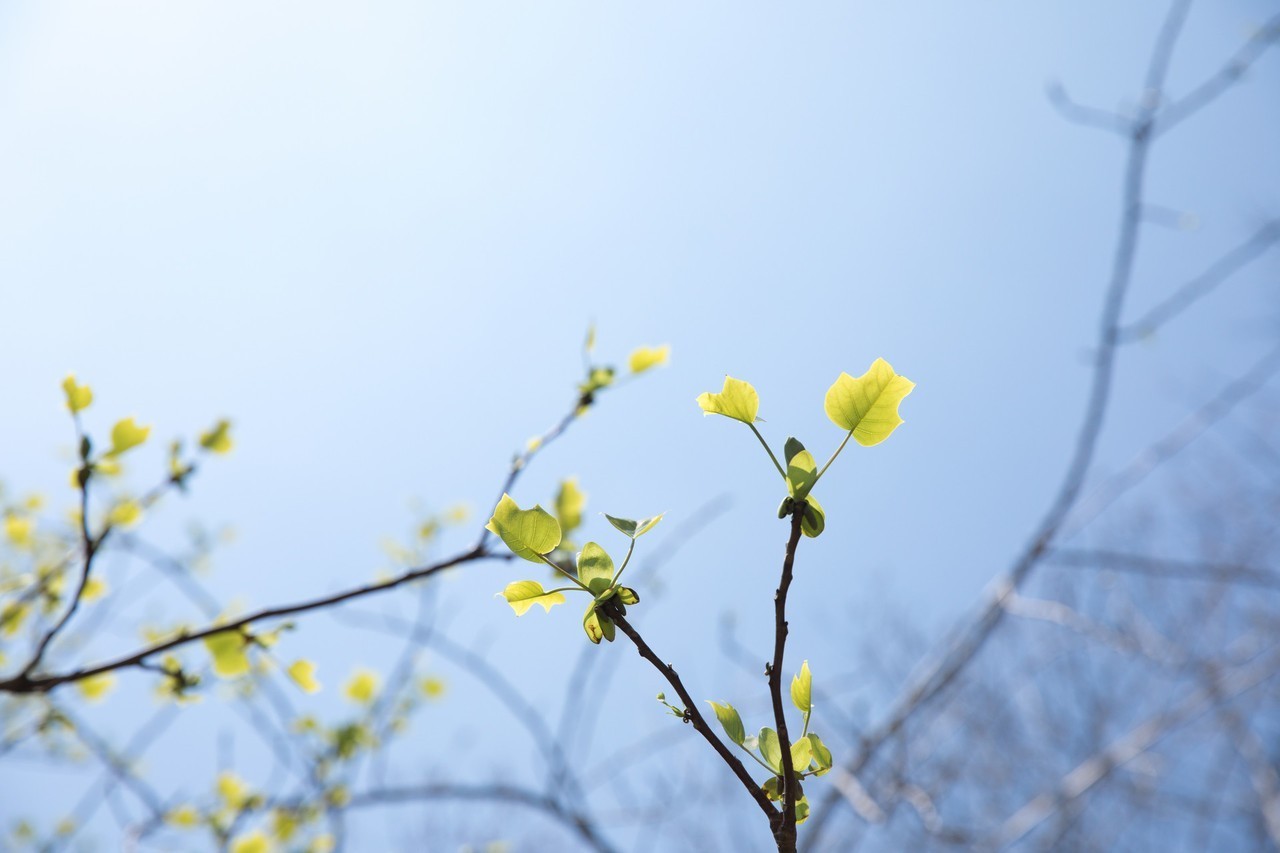 摄图网_500859986_banner.jpg