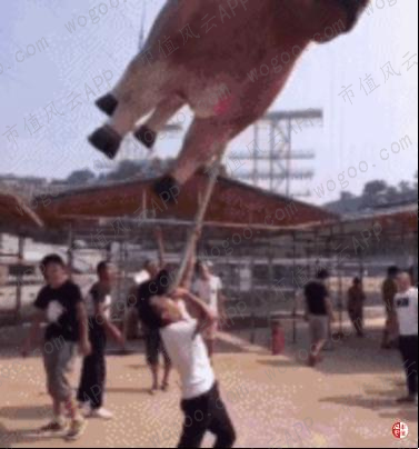 ced4a12d3e074ba78922d7e686a44b4c.003.png