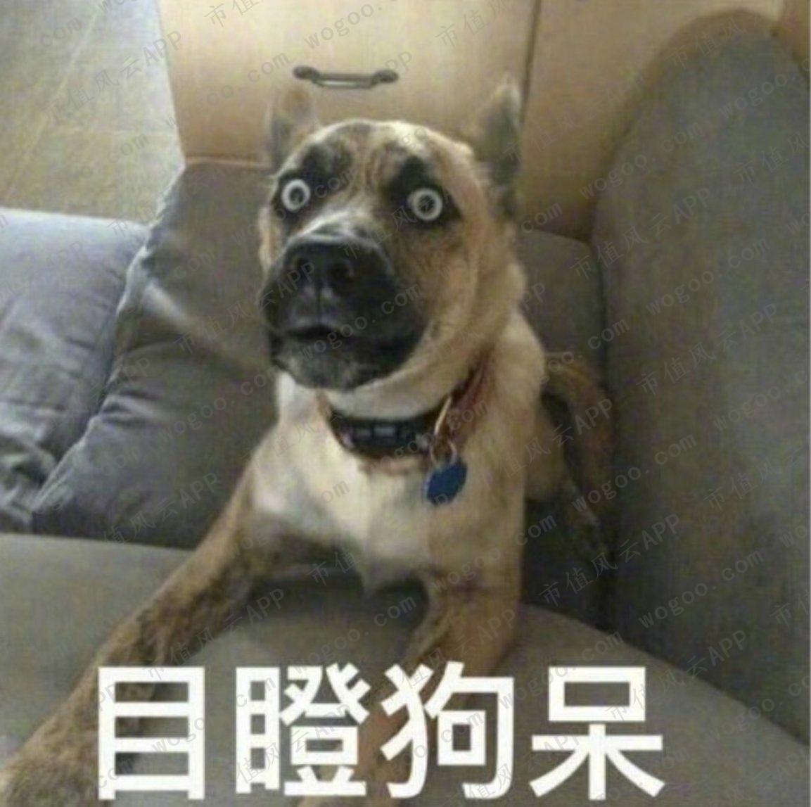 94a7dc69587045dc93a95ddcd4d288c0.012.jpeg
