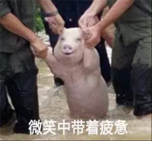 89836d0fb5eb46b6b4bf5233e718982b.028.png