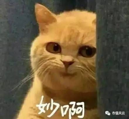 1499175438533041.jpg 3.jpg