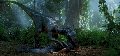 1511180572218364.gif 15.gif