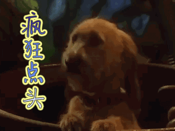 1513337981224831.gif 7.gif