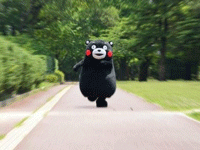 1524048920471625.gif c130008a18225fc68c0.gif