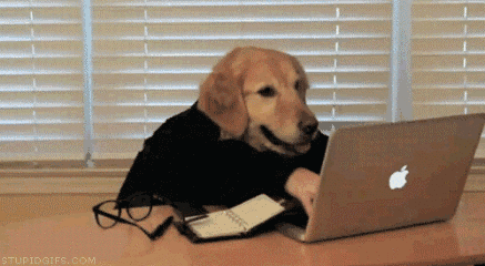 1527505150648376.gif 778749ed0c2f46a2a81e5803aaf6d89d_th.gif
