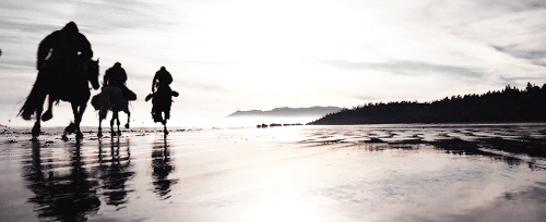 cdb7d22ff7f0458d9cafa3ed8df89886.gif