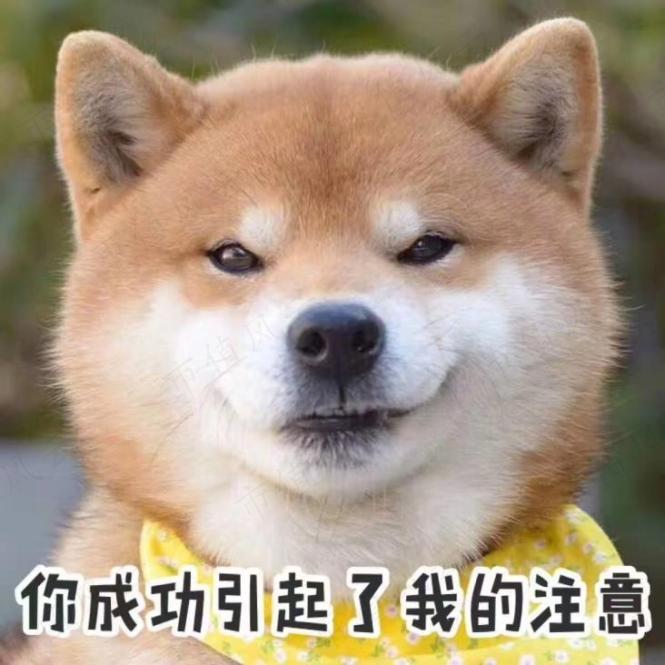 36bc363618d641dab8f4f741c41ae377.001.jpeg