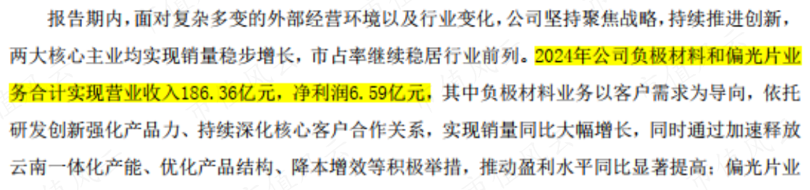 (公司2024年年报)