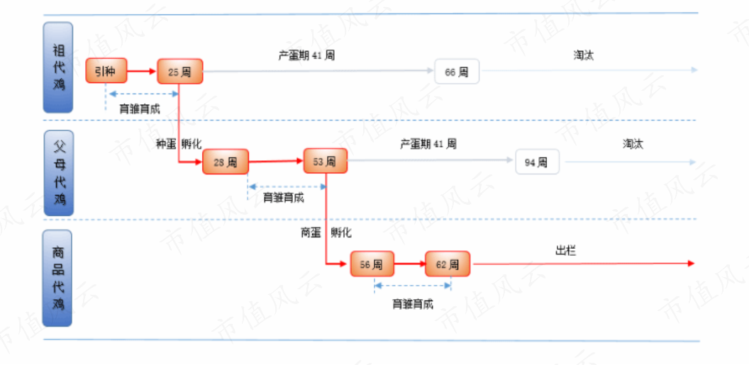 986ee74c3b094a7597ef893b69e95620.004.png