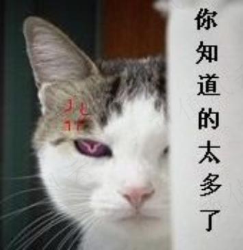 d007deac58a84051b73c87cd2022f9a5.016.jpeg
