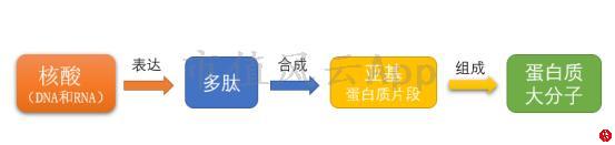 1547000579196_jeNEO.008.png