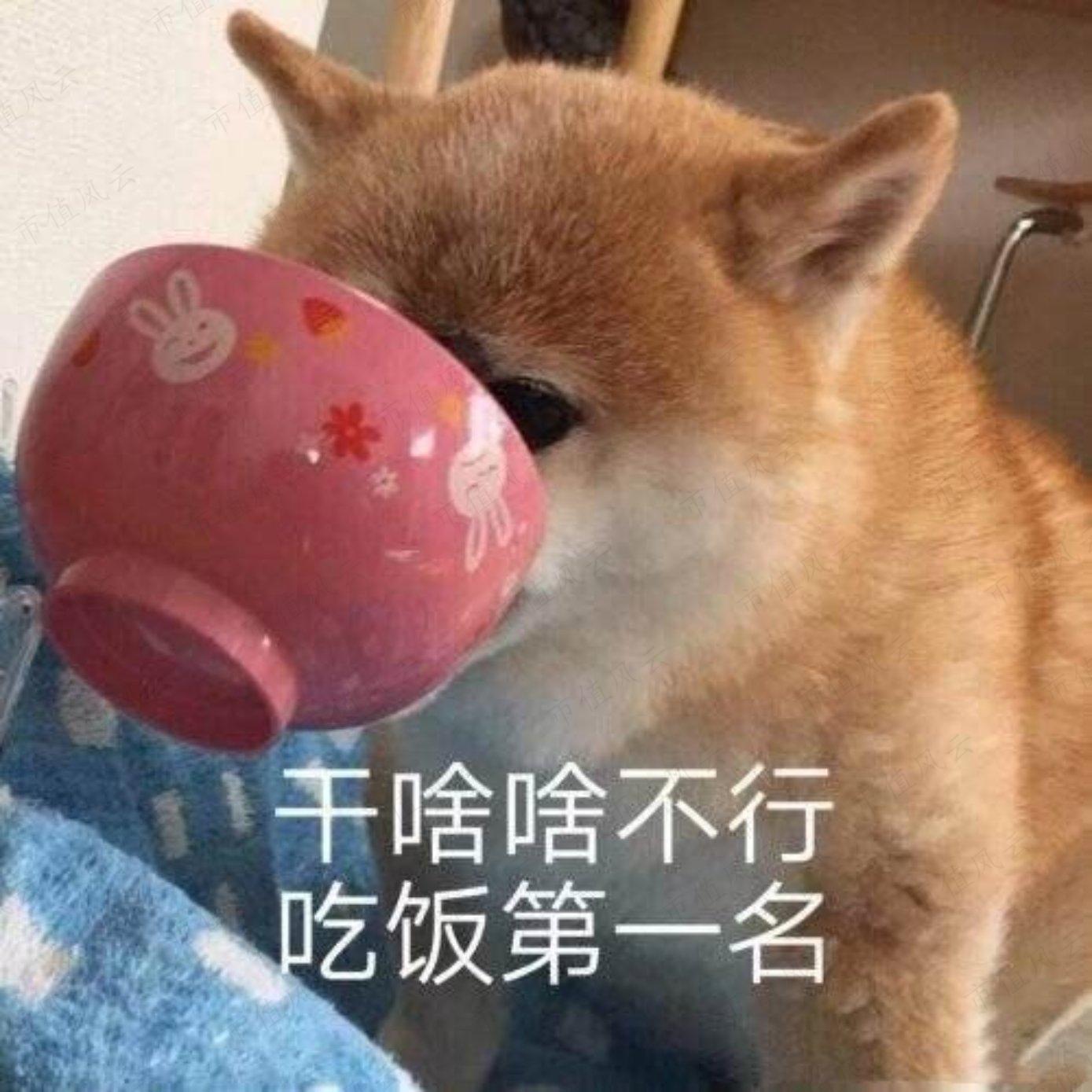 af7bdd2f875c4600baa9302ea4000ecc.018.jpeg