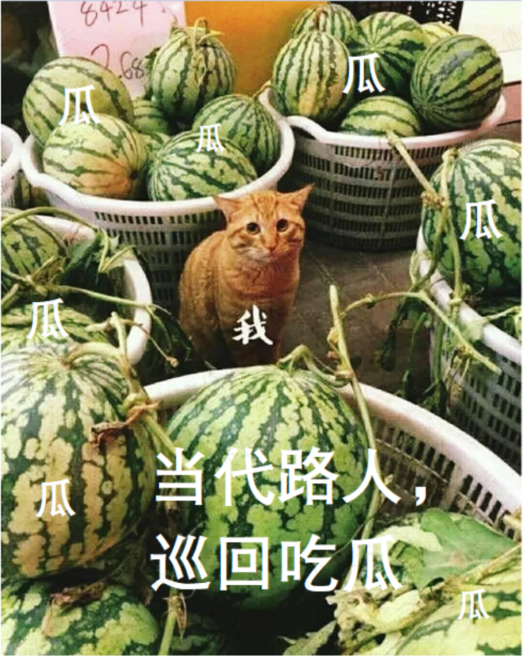 bbeef3d698fd4d3cabd9335965a3552f.003.png