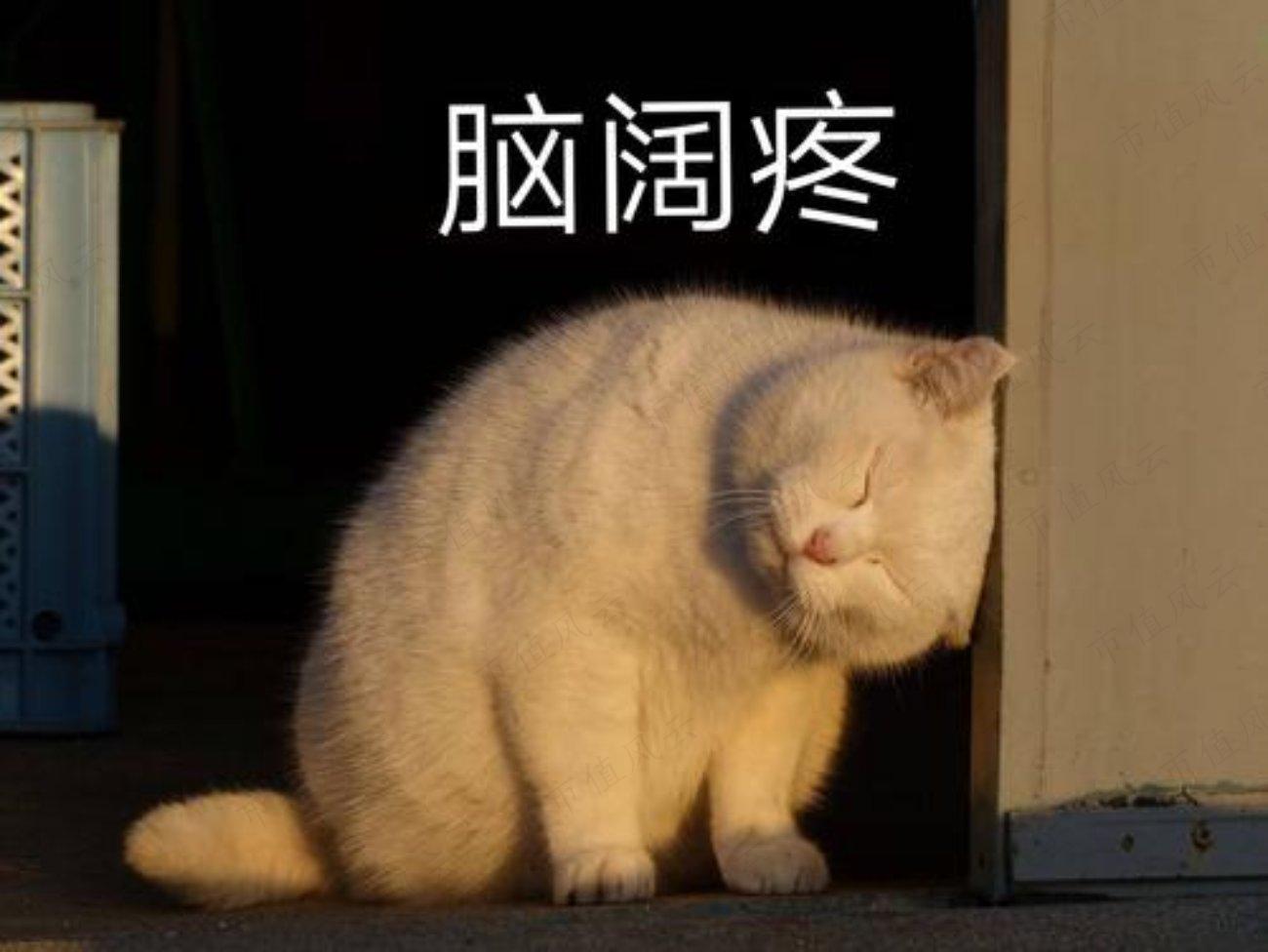 0f8b588a2ff946729b772ab65823058a.003.jpeg