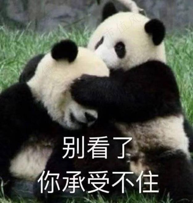 bda6e215c5524e29ad03fb2c6bea2386.031.jpeg