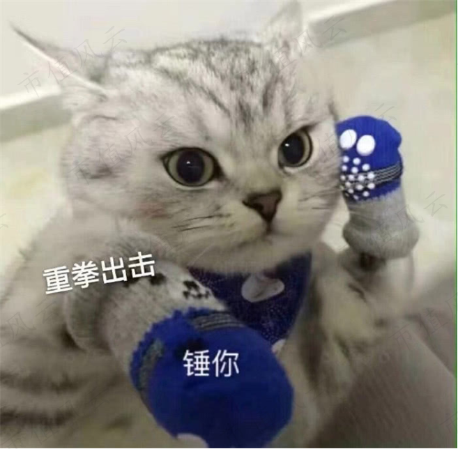 0be525e4380749efb26689d4c59a3c62.024.png