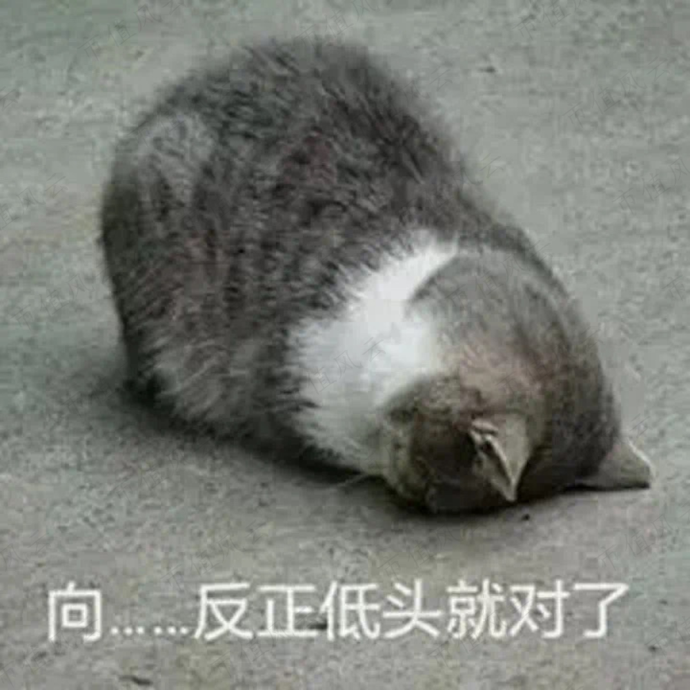 4243294c85cf4c9d937b13e2ebfb49d3.026.png