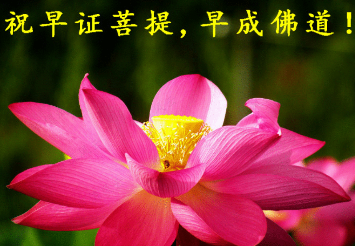 95fd28df066c41a8b3a409bc9c77f423.009.png