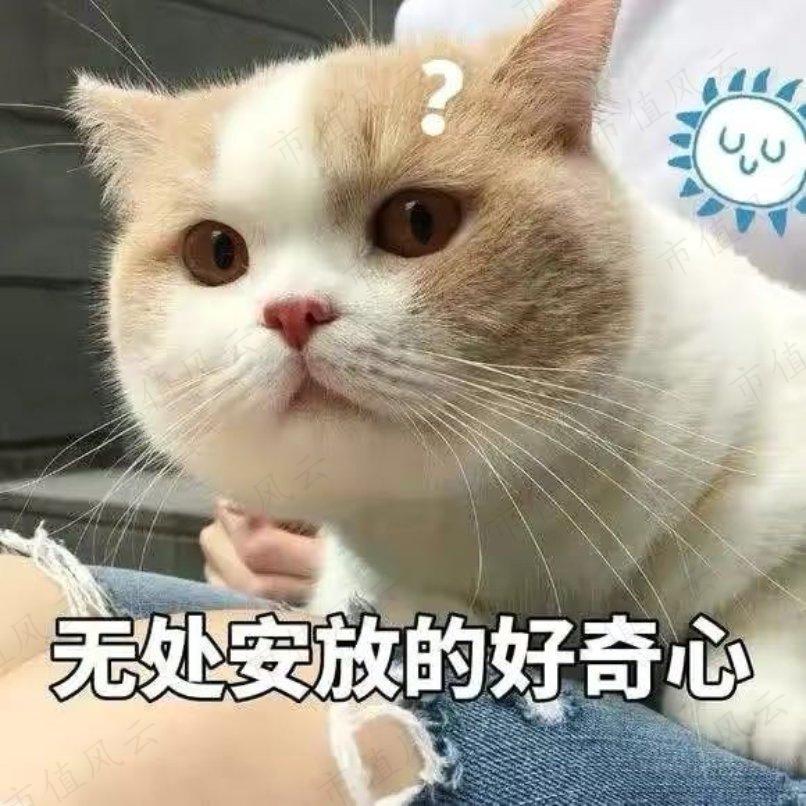 db7d152c877044f49c1dfd7969469919.002.jpeg
