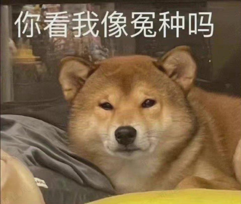 1a08d86b7f6f440b93c4c0f60fa2d8c7.027.jpeg