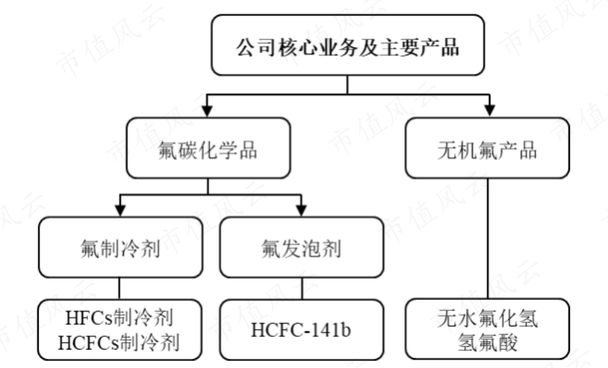 （来源：三美股份2021年报）