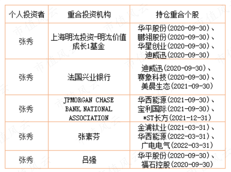 （注：根据市场公开信息整理，仅为张秀部分持仓数据）