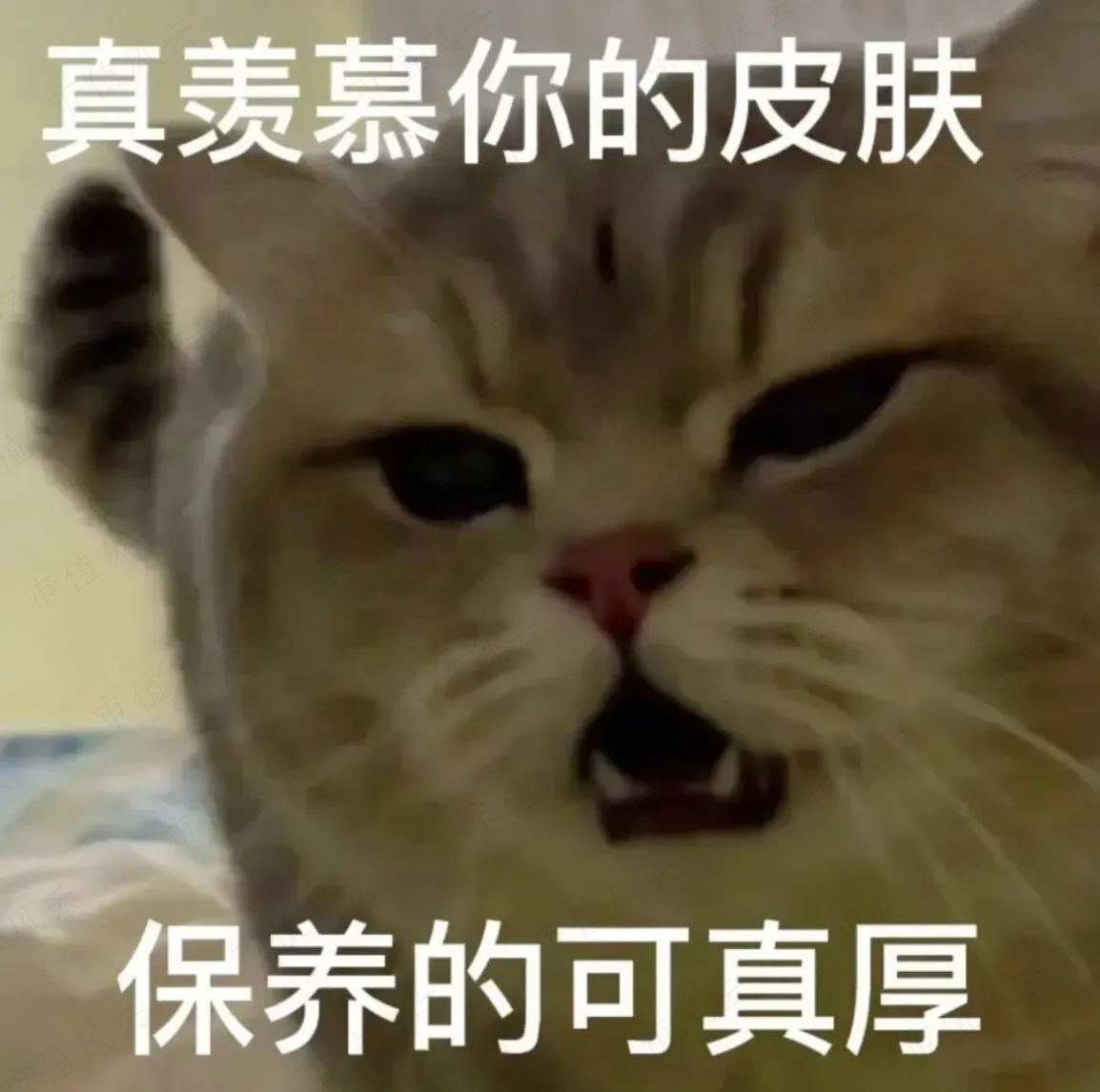 8a4dcd949ff949bba94aa41ccd2a6ab1.023.png