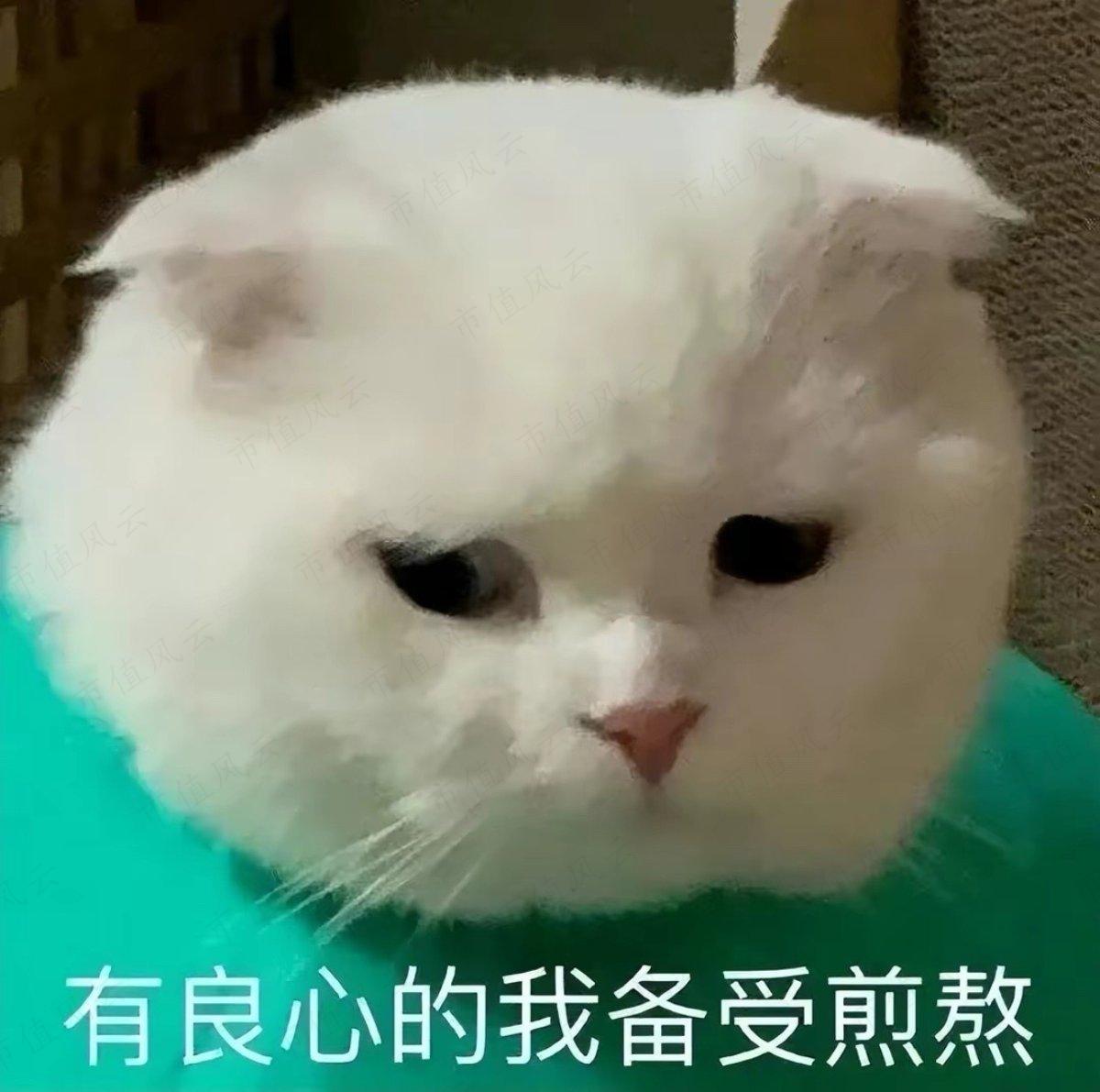 f8113d694f4545c5bb553885a532aef0.068.jpeg