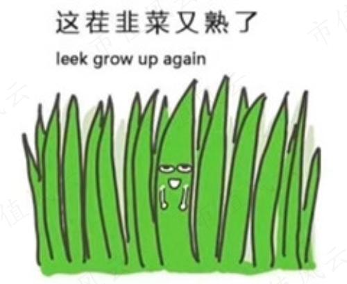 61507e56c007418b8ffc6e13a86cb234.017.jpeg