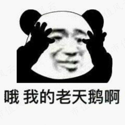 9d9af4ed4d4340dba9366b4c045cfec9.009.jpeg