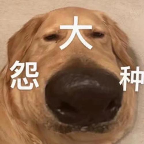265b54a8f7ee486b8ca5801a874ab021.022.jpeg