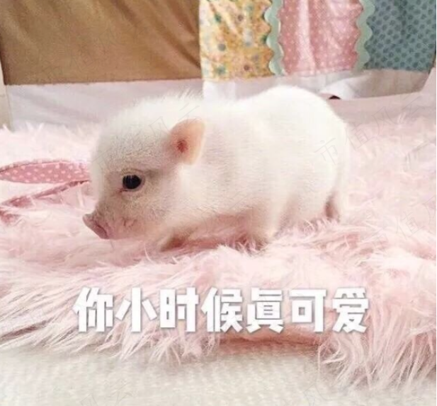 6e665e8bf14746a4869ae72fb08586c2.018.png
