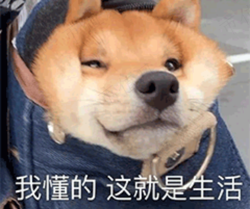 2f8e21eb055a49839512ff9832c0372b.012.png