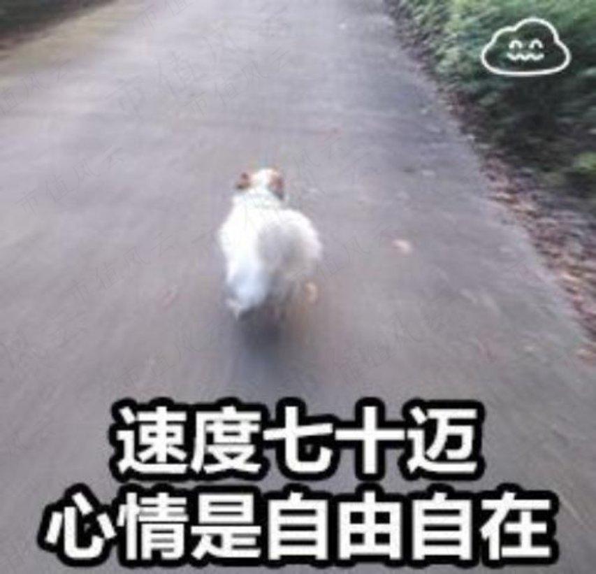 1e58d5bc33e64fe7b949baf11a805c53.008.jpeg